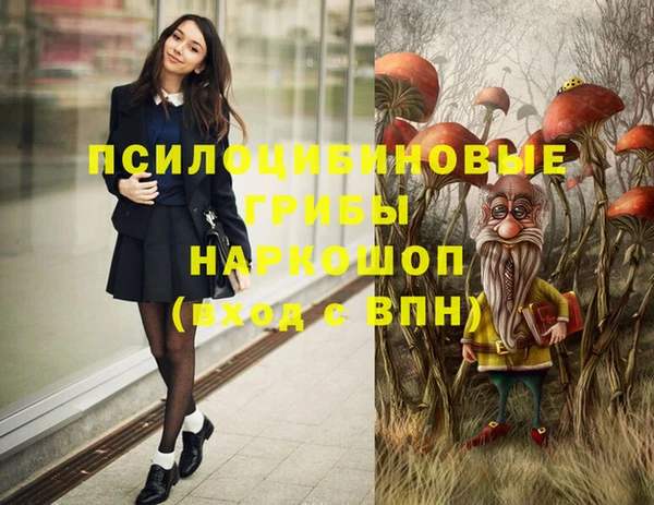 индика Верхнеуральск