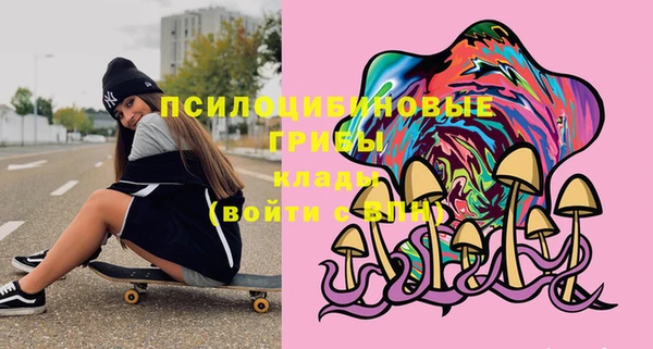 эйфоретик Верея