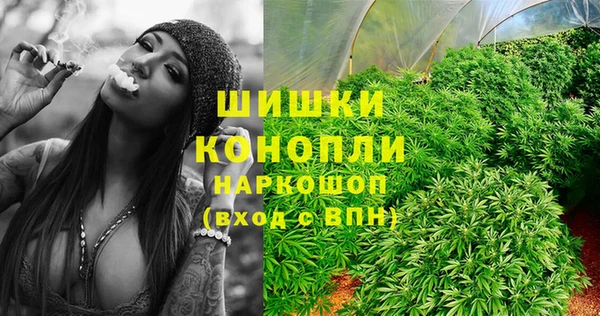 индика Верхнеуральск