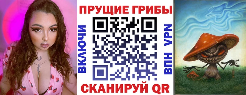 дарнет шоп  МЕГА tor  Галлюциногенные грибы Magic Shrooms  Чебоксары 